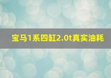 宝马1系四缸2.0t真实油耗