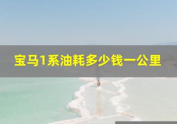 宝马1系油耗多少钱一公里