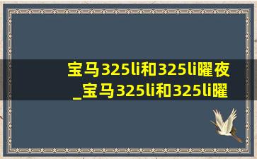 宝马325li和325li曜夜_宝马325li和325li曜夜怎么选