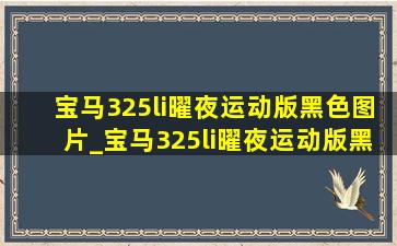 宝马325li曜夜运动版黑色图片_宝马325li曜夜运动版黑色