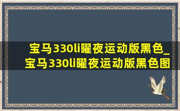 宝马330li曜夜运动版黑色_宝马330li曜夜运动版黑色图片