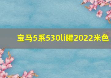 宝马5系530li曜2022米色