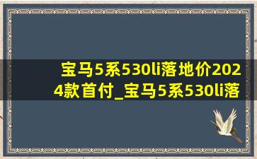 宝马5系530li落地价2024款首付_宝马5系530li落地价2024款内饰