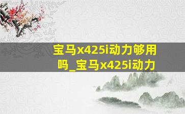 宝马x425i动力够用吗_宝马x425i动力