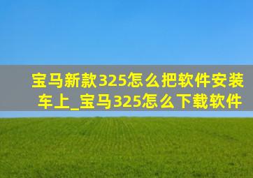 宝马新款325怎么把软件安装车上_宝马325怎么下载软件