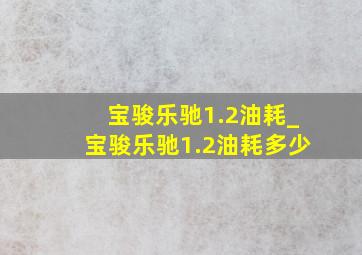 宝骏乐驰1.2油耗_宝骏乐驰1.2油耗多少