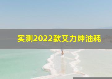 实测2022款艾力绅油耗