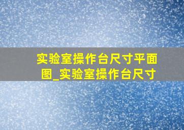 实验室操作台尺寸平面图_实验室操作台尺寸