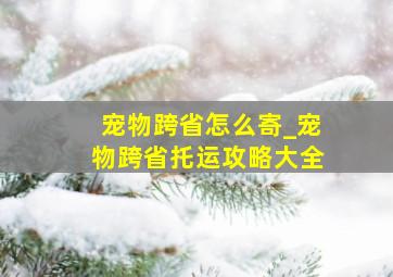 宠物跨省怎么寄_宠物跨省托运攻略大全