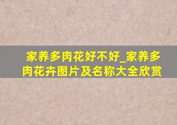 家养多肉花好不好_家养多肉花卉图片及名称大全欣赏