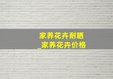 家养花卉耐晒_家养花卉价格