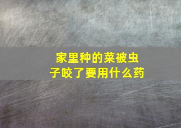 家里种的菜被虫子咬了要用什么药