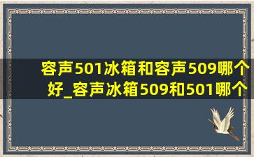 容声501冰箱和容声509哪个好_容声冰箱509和501哪个更好