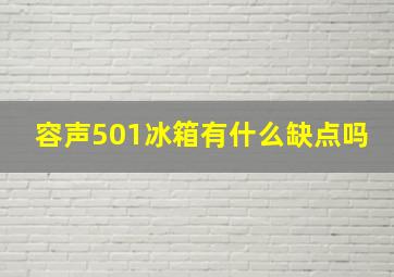 容声501冰箱有什么缺点吗