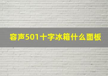 容声501十字冰箱什么面板