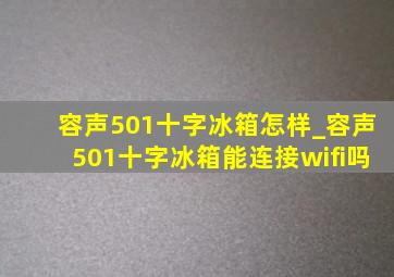 容声501十字冰箱怎样_容声501十字冰箱能连接wifi吗