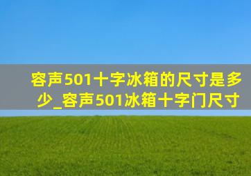 容声501十字冰箱的尺寸是多少_容声501冰箱十字门尺寸