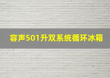 容声501升双系统循环冰箱