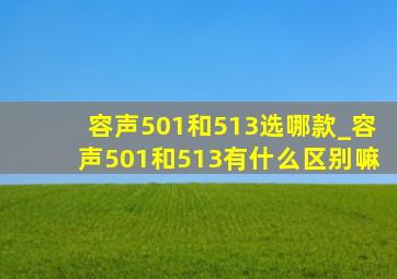 容声501和513选哪款_容声501和513有什么区别嘛