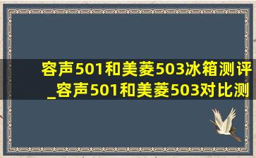 容声501和美菱503冰箱测评_容声501和美菱503对比测评