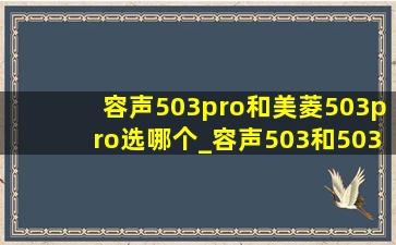 容声503pro和美菱503pro选哪个_容声503和503pro有什么区别