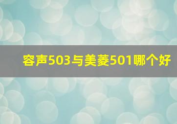 容声503与美菱501哪个好