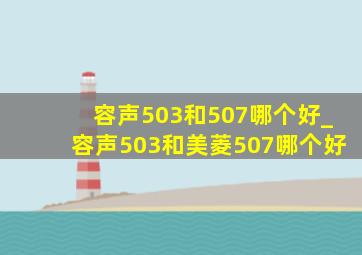 容声503和507哪个好_容声503和美菱507哪个好