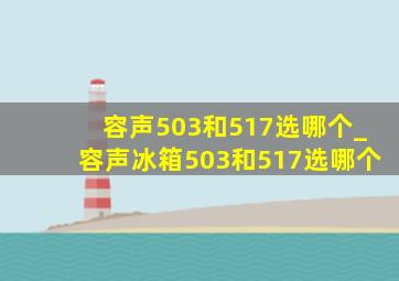 容声503和517选哪个_容声冰箱503和517选哪个