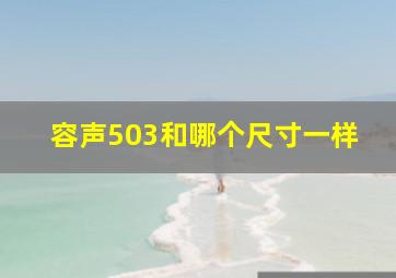 容声503和哪个尺寸一样