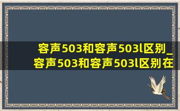 容声503和容声503l区别_容声503和容声503l区别在哪里