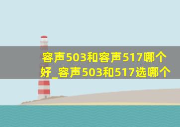 容声503和容声517哪个好_容声503和517选哪个