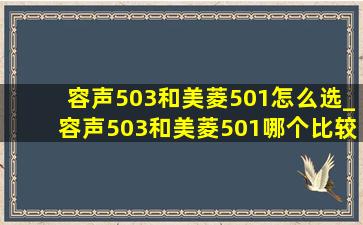 容声503和美菱501怎么选_容声503和美菱501哪个比较好