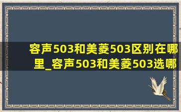 容声503和美菱503区别在哪里_容声503和美菱503选哪个好