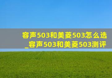 容声503和美菱503怎么选_容声503和美菱503测评