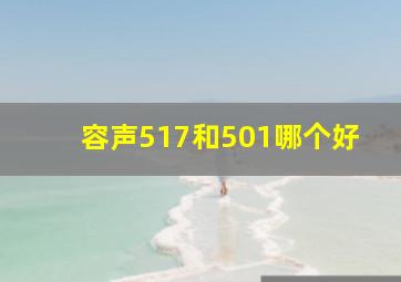 容声517和501哪个好