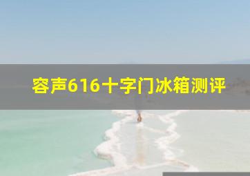 容声616十字门冰箱测评