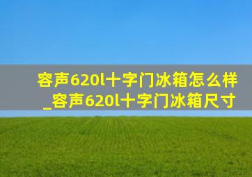 容声620l十字门冰箱怎么样_容声620l十字门冰箱尺寸