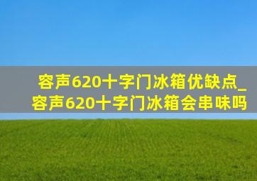 容声620十字门冰箱优缺点_容声620十字门冰箱会串味吗