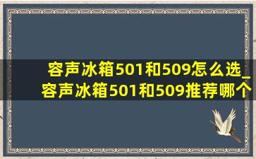 容声冰箱501和509怎么选_容声冰箱501和509推荐哪个