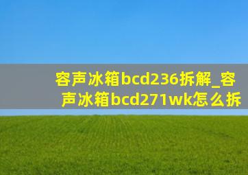 容声冰箱bcd236拆解_容声冰箱bcd271wk怎么拆