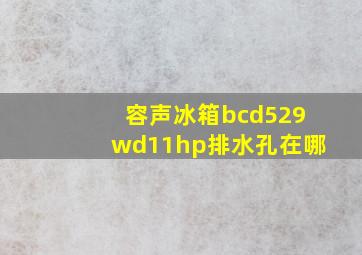 容声冰箱bcd529wd11hp排水孔在哪