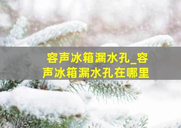 容声冰箱漏水孔_容声冰箱漏水孔在哪里