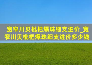 宽窄川贝枇杷爆珠细支进价_宽窄川贝枇杷爆珠细支进价多少钱