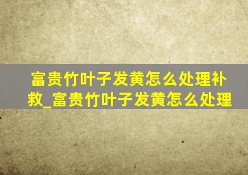 富贵竹叶子发黄怎么处理补救_富贵竹叶子发黄怎么处理