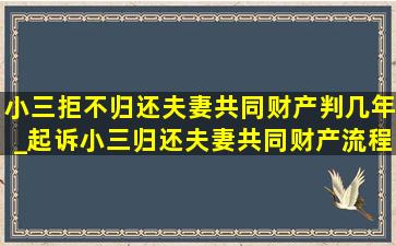 小三拒不归还夫妻共同财产判几年_起诉小三归还夫妻共同财产流程