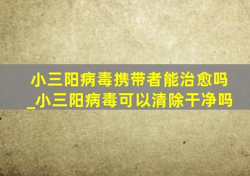 小三阳病毒携带者能治愈吗_小三阳病毒可以清除干净吗