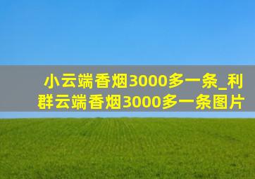 小云端香烟3000多一条_利群云端香烟3000多一条图片