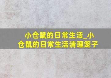 小仓鼠的日常生活_小仓鼠的日常生活清理笼子