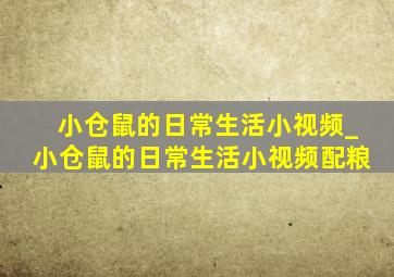 小仓鼠的日常生活小视频_小仓鼠的日常生活小视频配粮