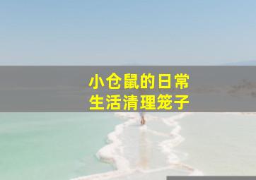 小仓鼠的日常生活清理笼子